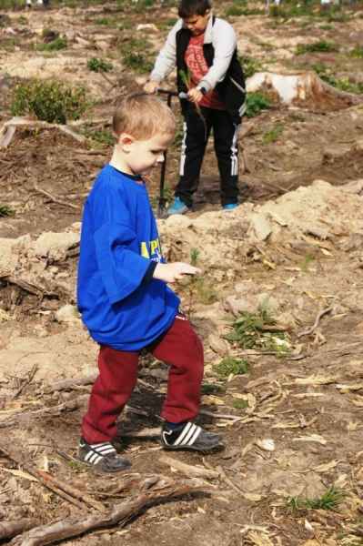 phpthumb ctx web w 900 h 900 zc 0 far q 90 src 2Fassets 2Fgallery 2F5 2F117